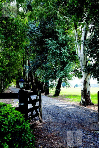 Lote Bosque En Venta En El Campo De Cardales Financia
