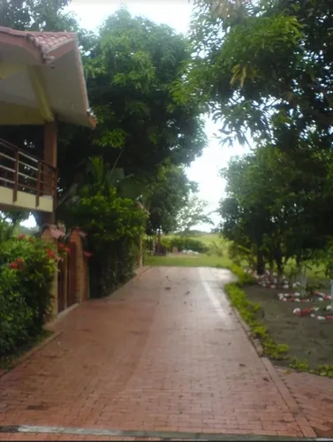 Lote En Venta En Guamo Vendo O Permuto