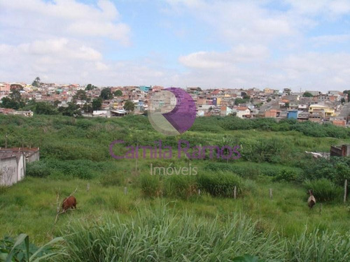 Imagem 16 de 16 de Chácara Residencial À Venda, Jardim Campestre, Suzano. - Ch0026 - 68322234