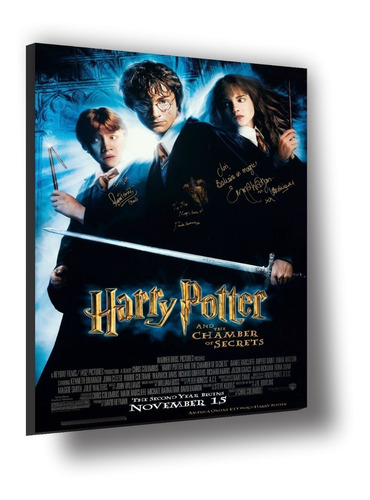 Cuadro Canvas Bastidor Harry Potter La Cámara Secreta 72x50