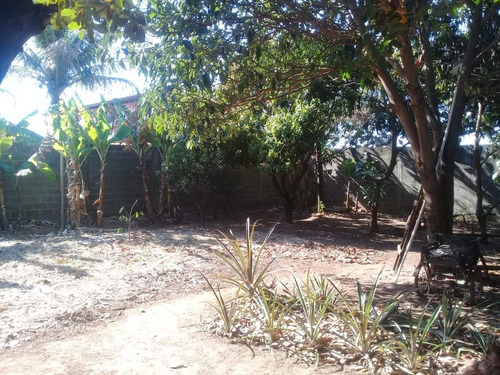 Imagem 7 de 30 de Chácara Com 3 Quartos À Venda, 1000 M² Por R$ 298.000 - Parque Das Palmeiras - Artur Nogueira/são Paulo - Ch0141