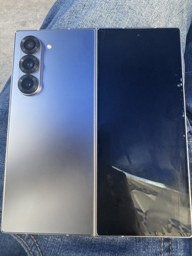 Galaxy Z Fold 6 1 Tb (Usado)