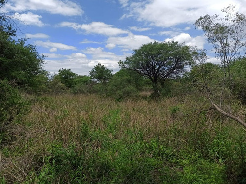 Imagen 4 de 8 de Vendo Lotes De 2000 A 10000 M² Cerca Del Río, San Marcos Sierras