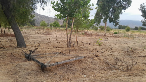 Parcela, Sector Los Naranjos, Camino El Toro, Curacaví