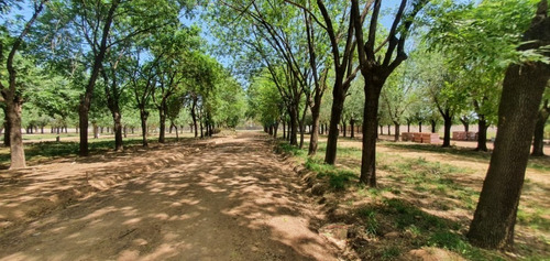 Imagen 2 de 27 de Venta Lotes Los Fresnos Barrio Cerrado Privado, Virrey Del Pino, La Matanza