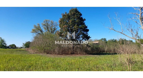 Imagen 6 de 9 de Venta Campo Quinta