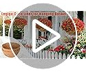 Legigo 3 Pack 12 Pulgadas Juego De 3 Forros De Coco Para Ces