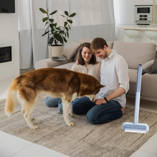 Multifunctional Sofa Carpet Dog Hair Remover Cleaning Tool