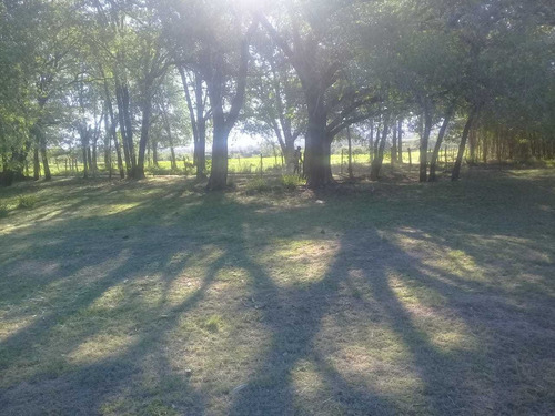 Imagen 6 de 10 de Los Reartes Vendo 2 Terrenos Juntos De 1100m2 Cada Uno