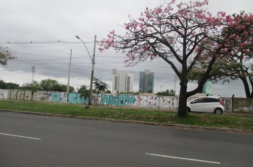 Imagem 10 de 15 de Loja Comercial Para Locação, Cristal, Porto Alegre. - Lo0043