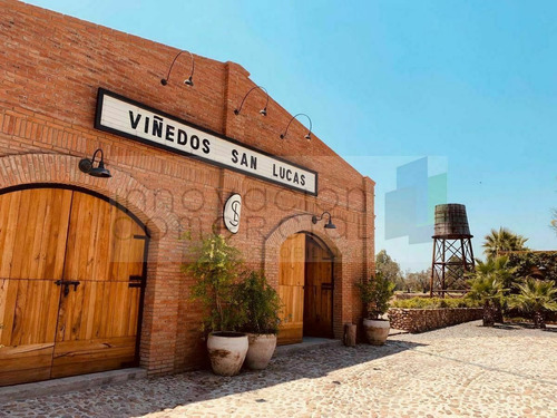 Imagen 20 de 24 de San Miguel De Allende, Terreno En Venta Dentro De Viñedo