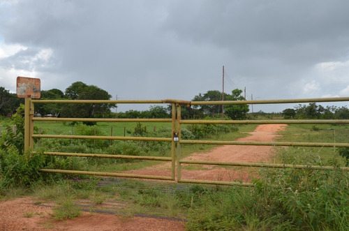 Imagen 21 de 28 de Se Vende Linda Finca En Oritupano