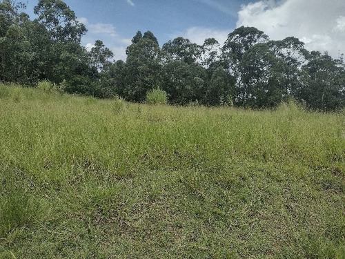 Imagem 5 de 6 de Terreno Comercial Em Vinhedo - Sp, Pinheirinho - Te00850