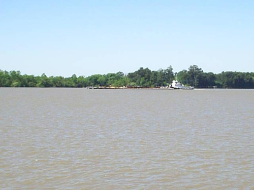 Imagen 4 de 23 de Casa - Parana De Las Palmas Tigre