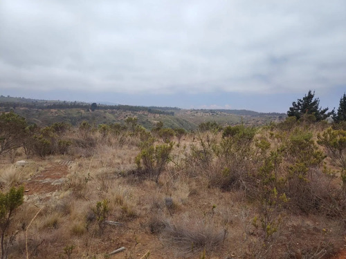 Inversión Segura Parcela 5042 M2 Con Vistas Y Pozo Propio