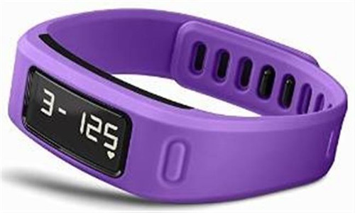 Garmin Vivofit Fitness Band - Púrpura