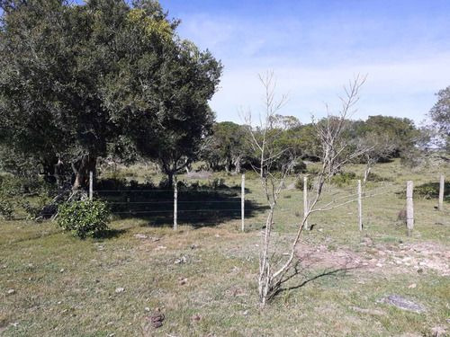 Venta De 60 Hectáreas Por Ruta 13 Paraje El Maturrango Roch (ref: Ksk-719)