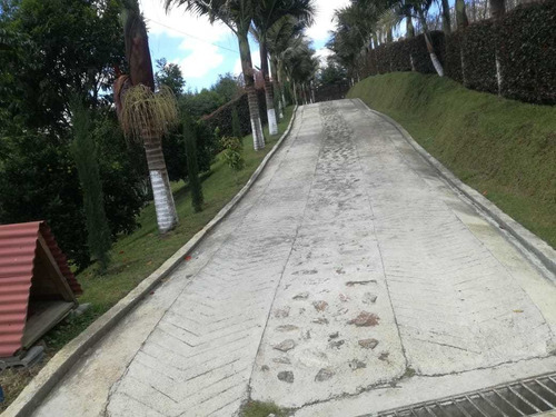 Imagen 6 de 13 de Finca En San Vicente 6.400 Mts 650 Millones