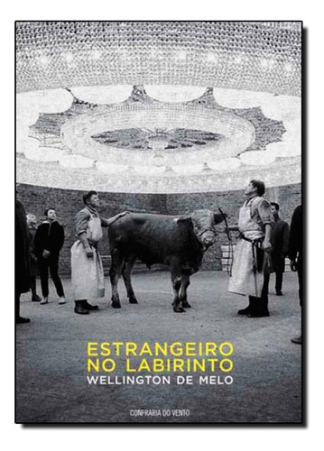 Estrangeiro no Labirinto, de Wellington de Melo. Editora CONFRARIA DO VENTO, capa mole em português