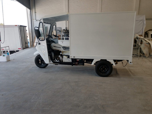 Motocarro Gasolina Muevetec 2025 Rex Se Caja Cerrada 250cc