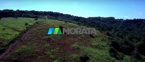 Imagem 9 de 15 de Fazenda - Zona Rural - Ref: 5459 - V-mta5459