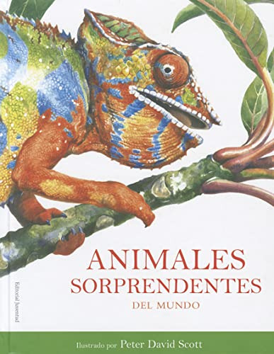 Libro Animales Sorprendentes Del Mundo De David Peter Scott