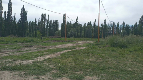Imagen 4 de 7 de Venta Terreno En Centenario Loteo La Emilce