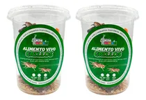 Comprar Bote De Grillo Alimento Vivo Para Reptiles Anfibios - 100pzs