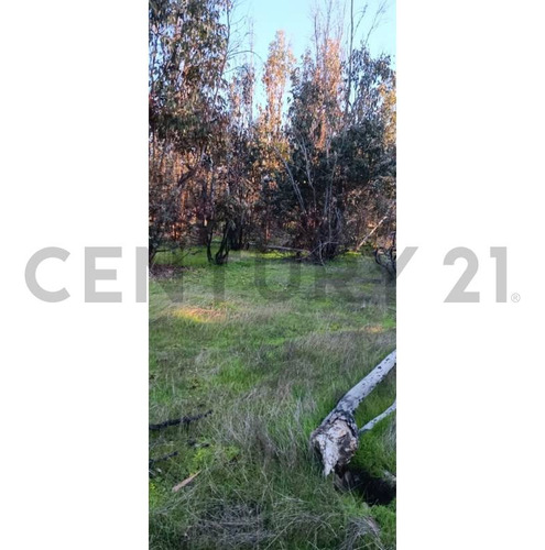 Hermoso Terreno En Litueche