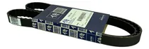 Comprar Banda Distribucion Pointer Derby Combi 1.8l 1992 - 2008