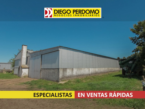 Casas De Campo En Alquiler, Libertad