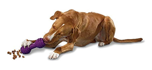 Petsafe Busy Buddy Chuckle Sound Dog Chew Toy - Dispensador 