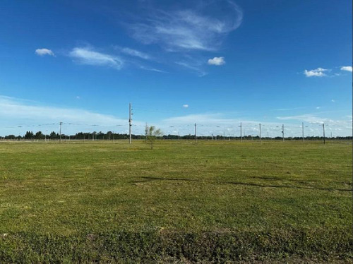 Lote En Venta En Barrio Fincas Joven, San Vicente.