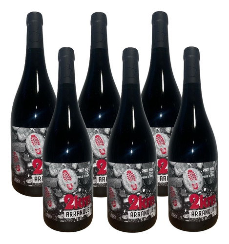 Vino 2 Km Arranque Pinot Noir Caja X 6un - Bodega Finca Beth