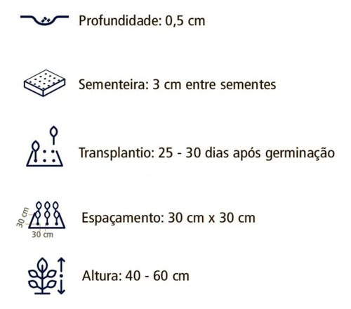 6x Sementes Erva Dos Gatos Catnip (nepeta Cataria) Topseed