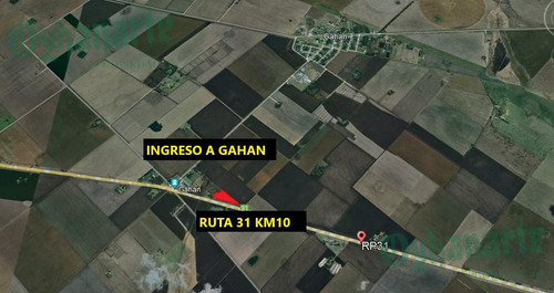 Venta De Chacra Con Galpon Y Vivienda - Sobre Ruta 31 En Salto