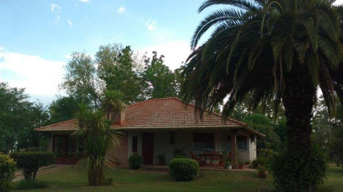 Imagen 2 de 14 de Campo En Venta - Loma Verde