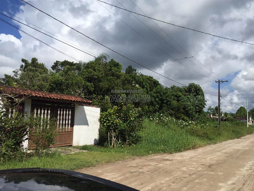 Imagem 4 de 5 de Terreno - Venda - Gaivotas - Itanhaém - Ita3175