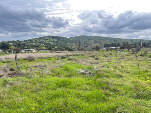 Venta Terreno Agricola