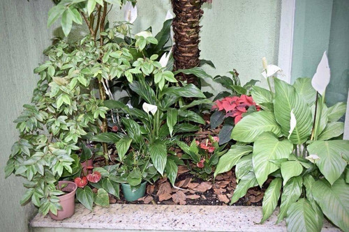 Sobrado Com 2 Dormitórios À Venda, 138 M² Por R$ 460.000,00 - Vila Clarice - Santo André/sp - So4008