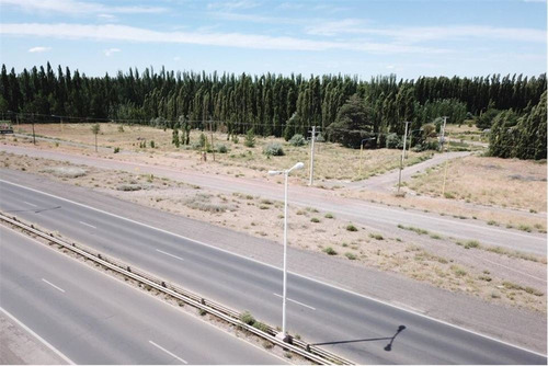 Imagen 16 de 30 de Terreno La Consuelo 499 Mts