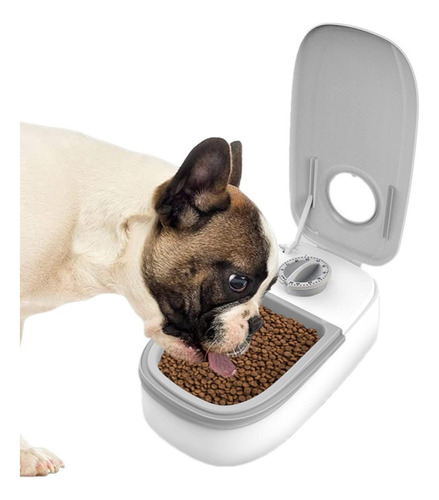 Dispensador De Alimento Timer Para Mascotas Gatos Perros Mli Color Blanco