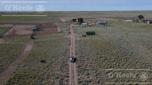Campo En Venta De 27950 Has En Gral Alvear Mendoza. Armada Para Cria/recria
