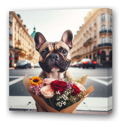 Cuadro 60x60cm Bulldog Frances Con Flores En La Calle