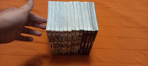 Coleccion Completa Manga Saiyuki X13 Tomos - Ed. Mangaline (Usado)