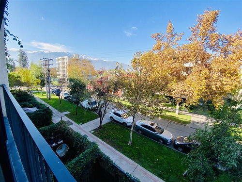 Triplex En Arriendo 1d,2b,1est,1bd,terraza. En Providencia