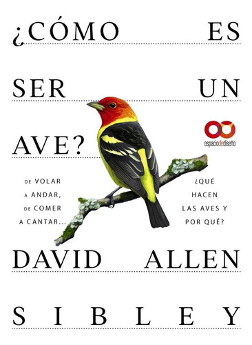 Libro: ¿cómo Es Ser Un Ave? De Volar A Anidar, De Comer A Ca