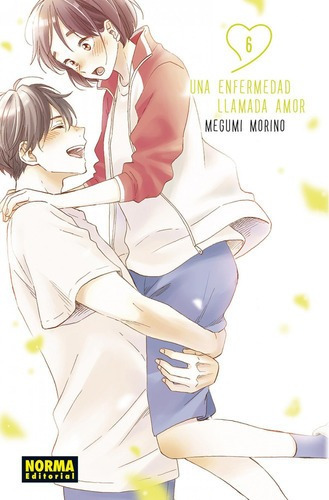 Libro: Una Enfermedad Llamada Amor 06. Morino, Megumi. Norma