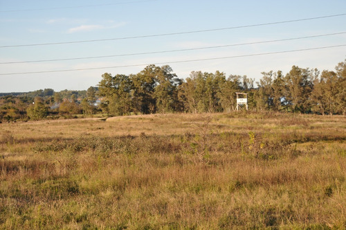 Imagen 1 de 5 de Terreno Frente A Polo Donovan Y Río Uruguay