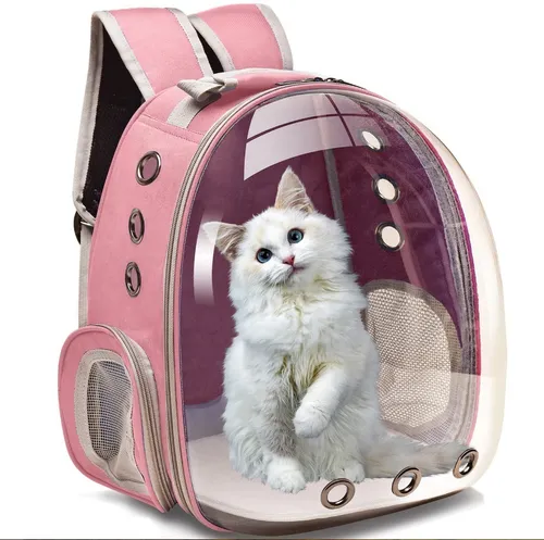 Compulsión Crítica Bolsa Bolso Transparente Para Gatos | MercadoLibre